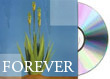 FLP Dream